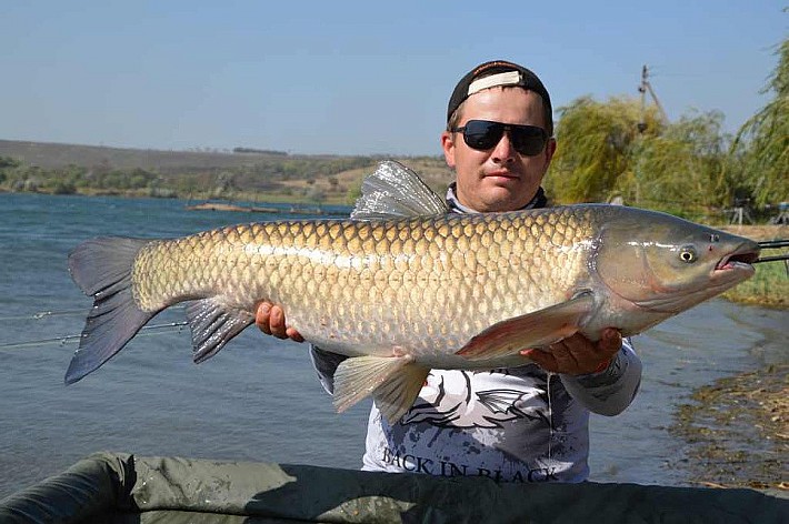 Карпфишинг035