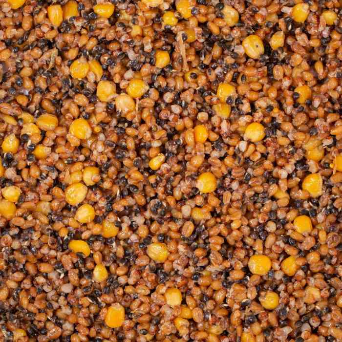 Зерновая смесь MINENKO Spod Mix (4кг)